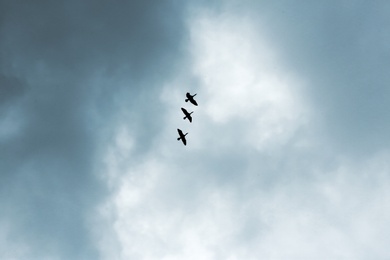 Sky with heavy rainy clouds and flying birds on grey day