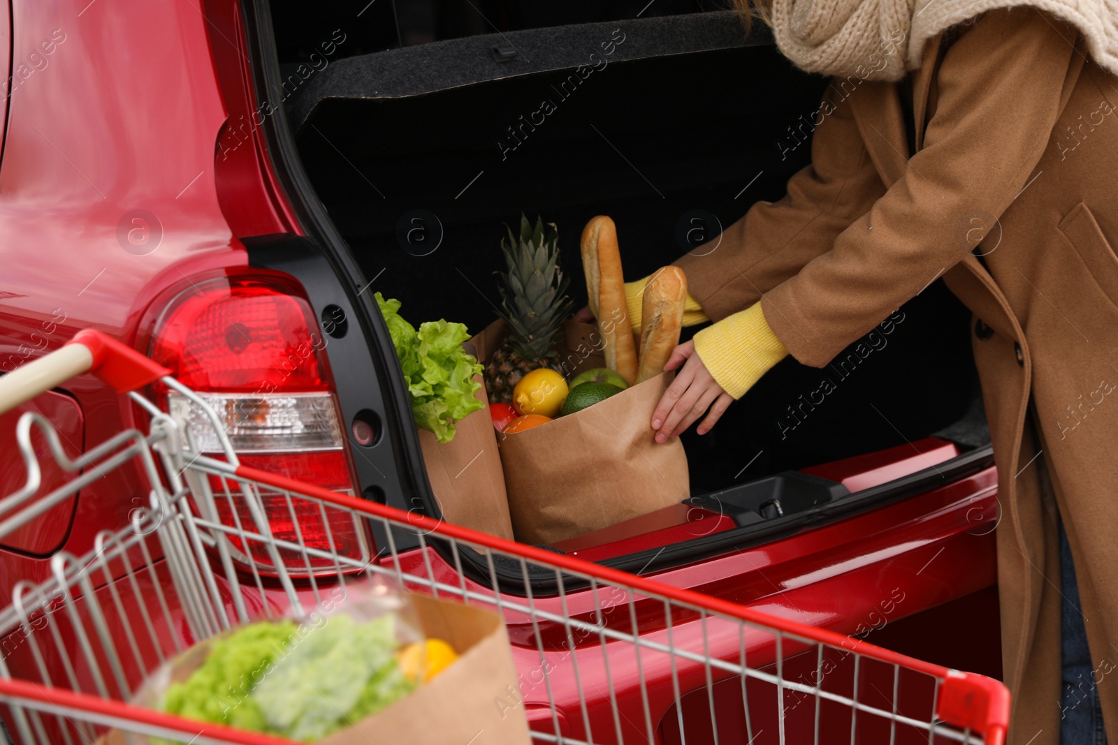 Photo of Young woman putting bag of groceries into her car outdoors, closeup