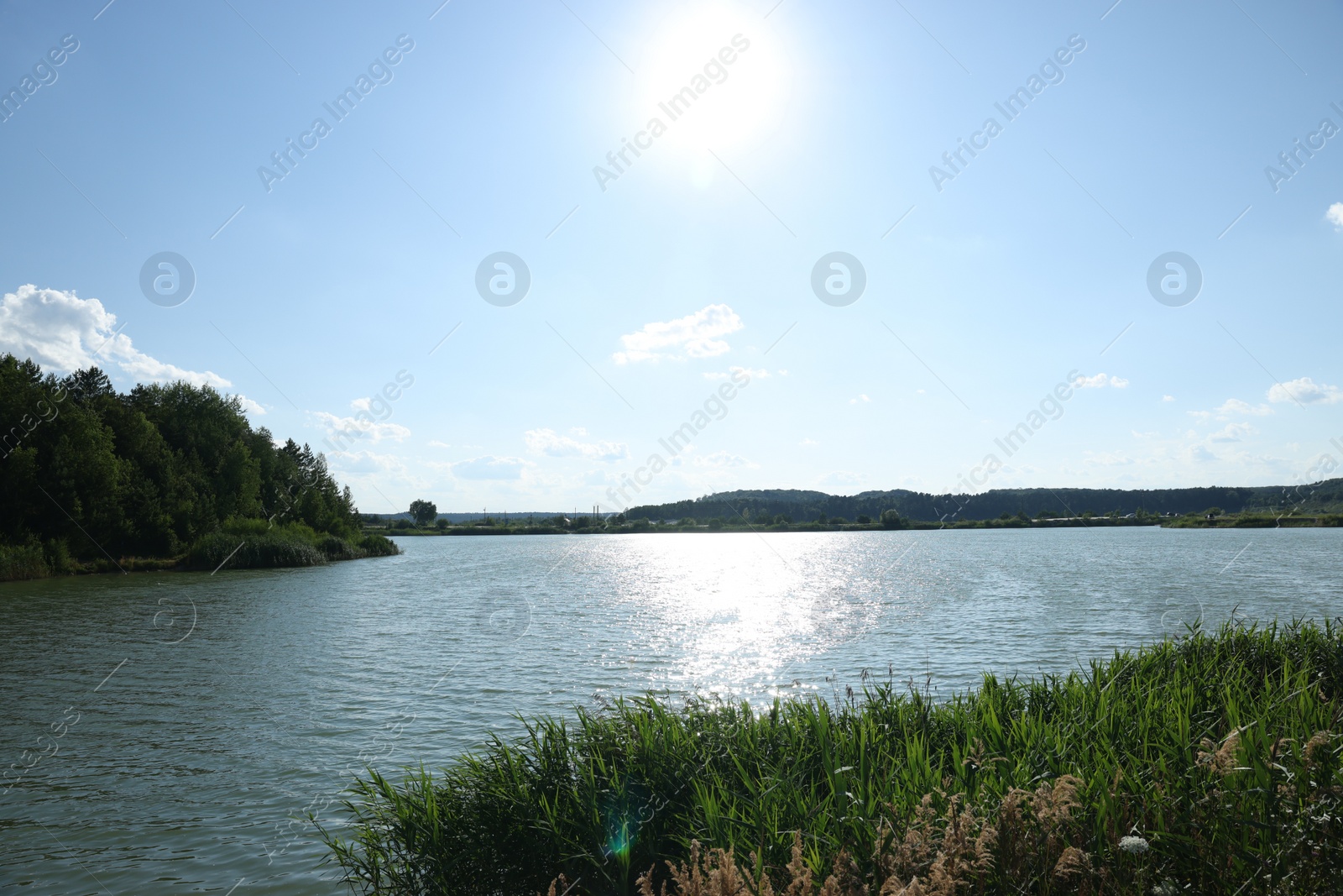 Photo of Beautiful view of river outdoors on sunny day