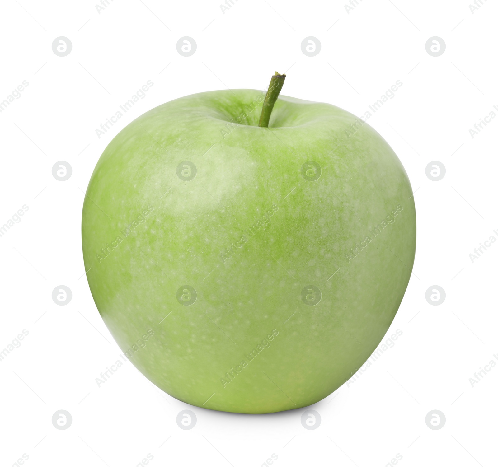 Photo of Whole ripe green apple isolated on white