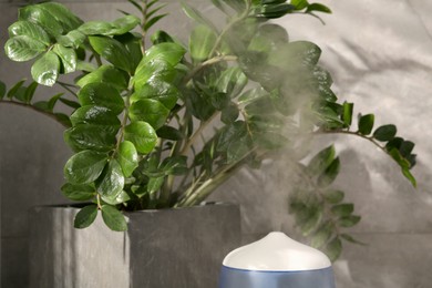 Photo of Air humidifier near beautiful green houseplant indoors