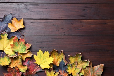 Photo of Dry autumn leaves of maple tree on brown wooden table, flat lay. Space for text