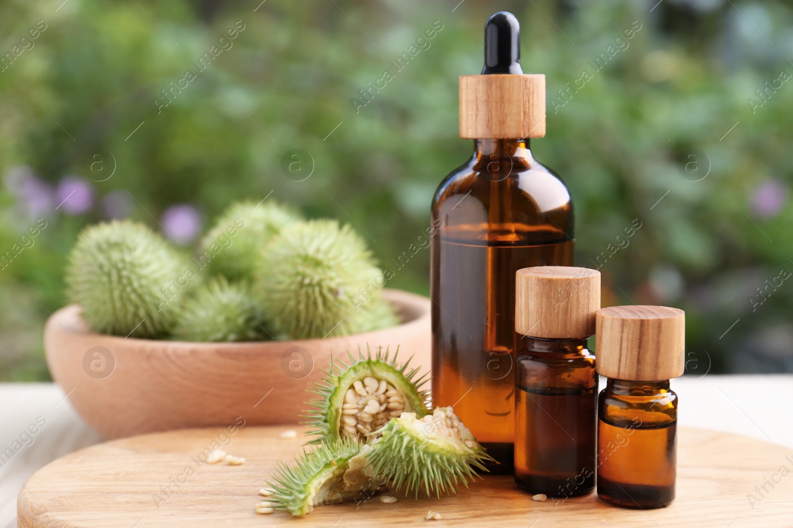 Photo of Bottles of essential oil and thorn apple on white wooden table. Space for text