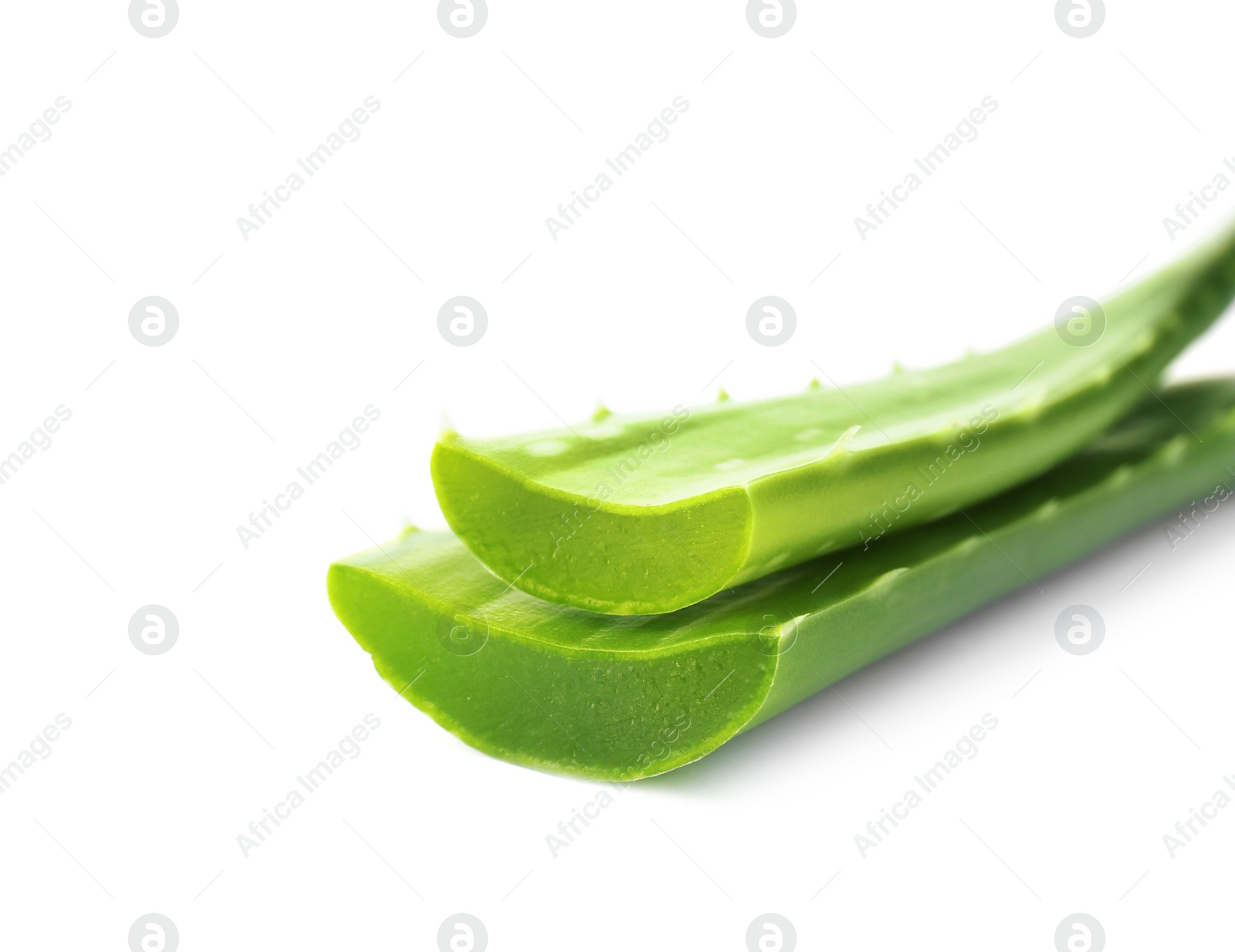 Photo of Aloe vera leaves on white background