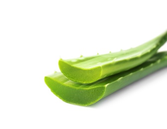 Photo of Aloe vera leaves on white background