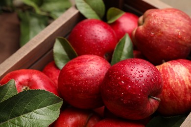 Photo of Crate with wet red apples and green leaves on table, closeup
