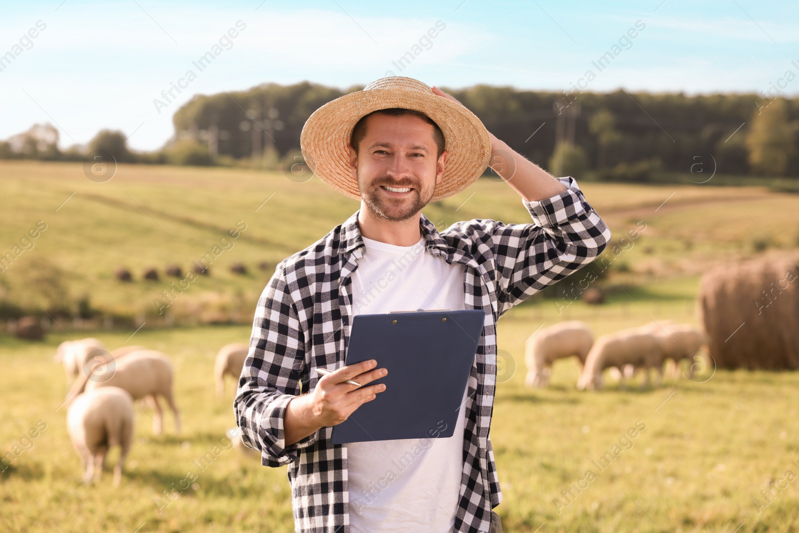 Photo of Smiling farmer with clipboard and animals on pasture