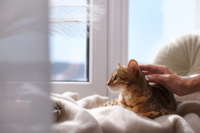 Photo of Woman petting cute Bengal cat on windowsill at home, closeup and space for text. Adorable pet