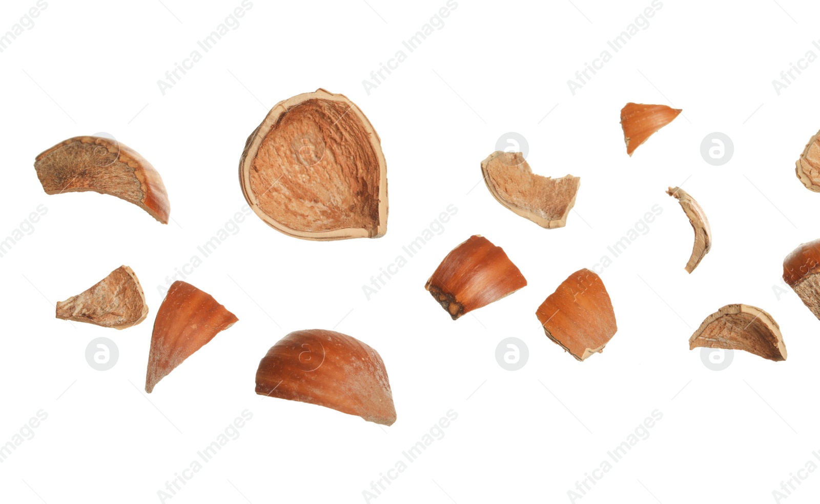 Photo of Pieces of hazelnut shell on white background