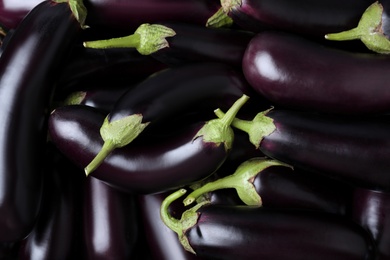 Fresh ripe purple eggplants as background, closeup