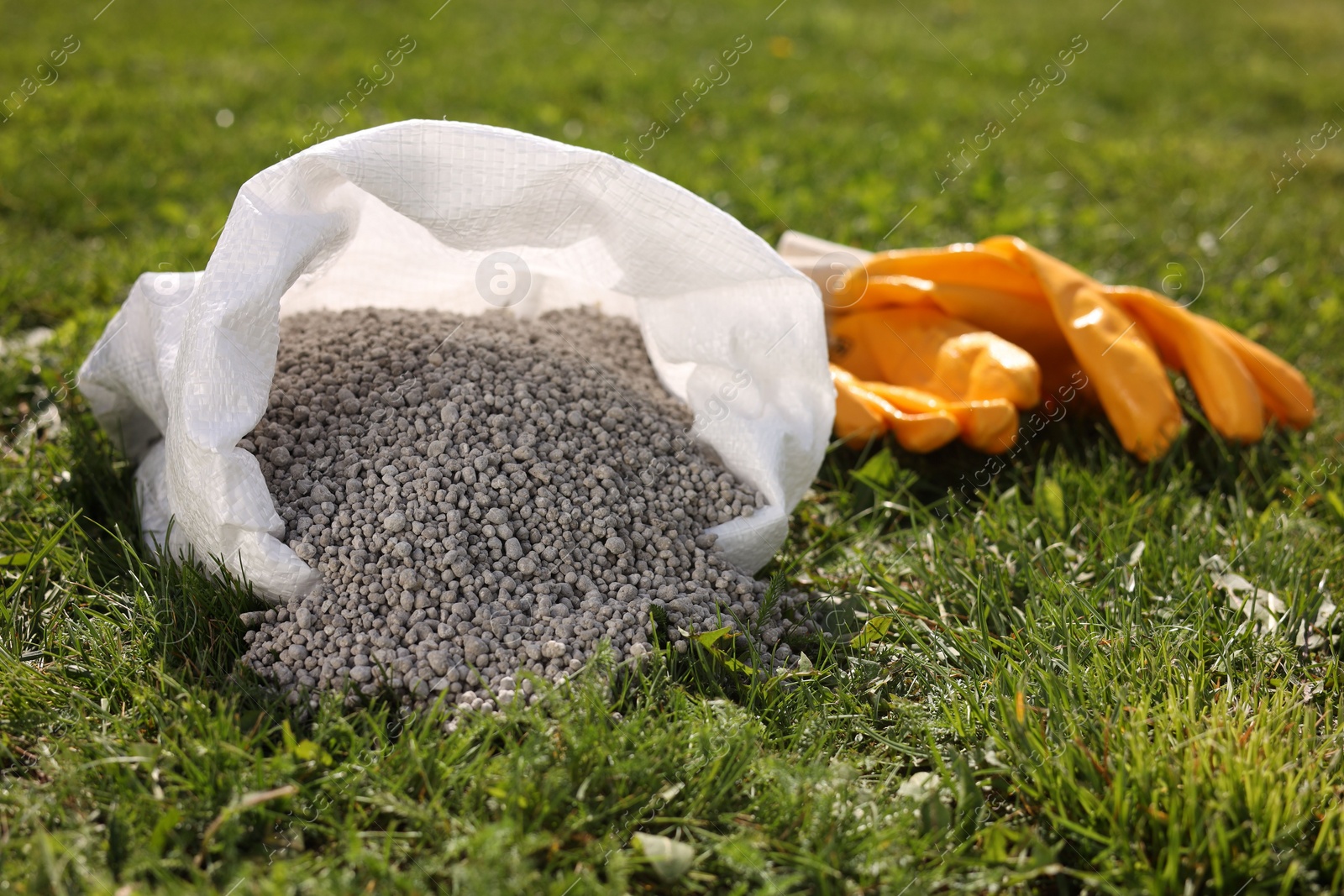 Photo of Granulated fertilizer in sack and gloves on green grass outdoors, closeup