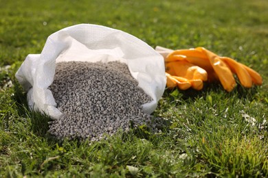 Photo of Granulated fertilizer in sack and gloves on green grass outdoors, closeup