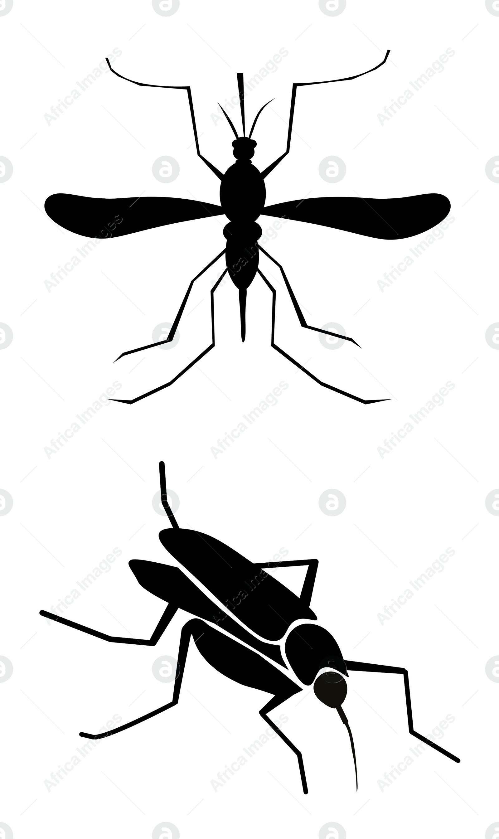 Image of Black mosquitoes on white background, banner design. Illustration