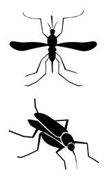 Black mosquitoes on white background, banner design. Illustration