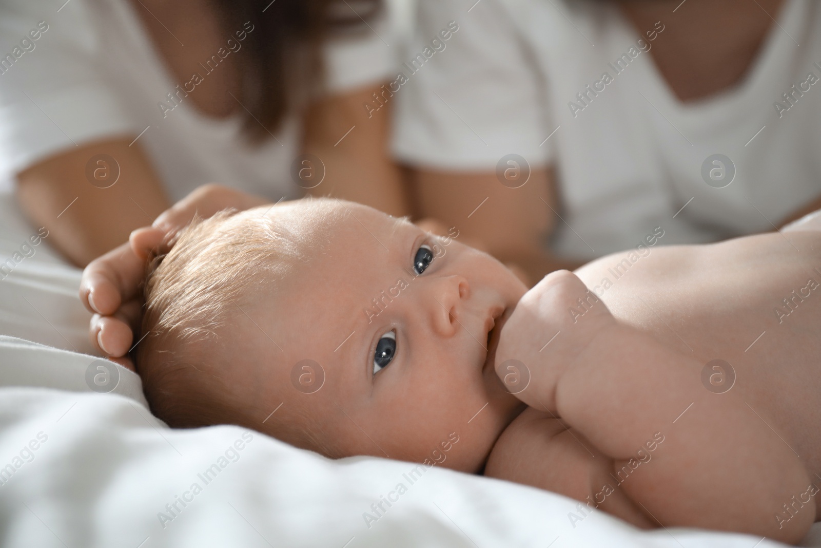 Photo of Newborn baby lying near parent on bed, closeup