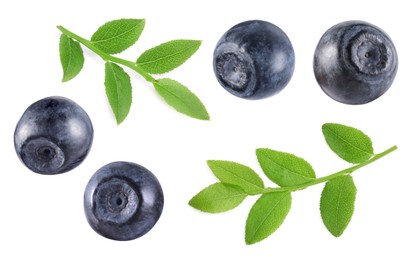 Image of Set with fresh ripe bilberries and green leaves isolated on white