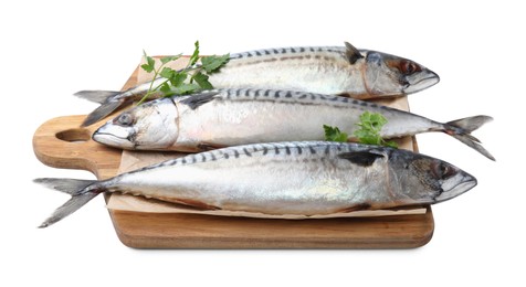 Photo of Mackerel fish with parsley on white background