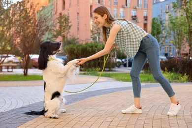 Woman training her English Springer Spaniel dog outdoors