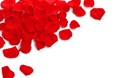 Photo of Many red rose petals on white background, top view