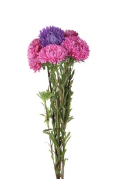 Photo of Bouquet of beautiful aster flowers on white background