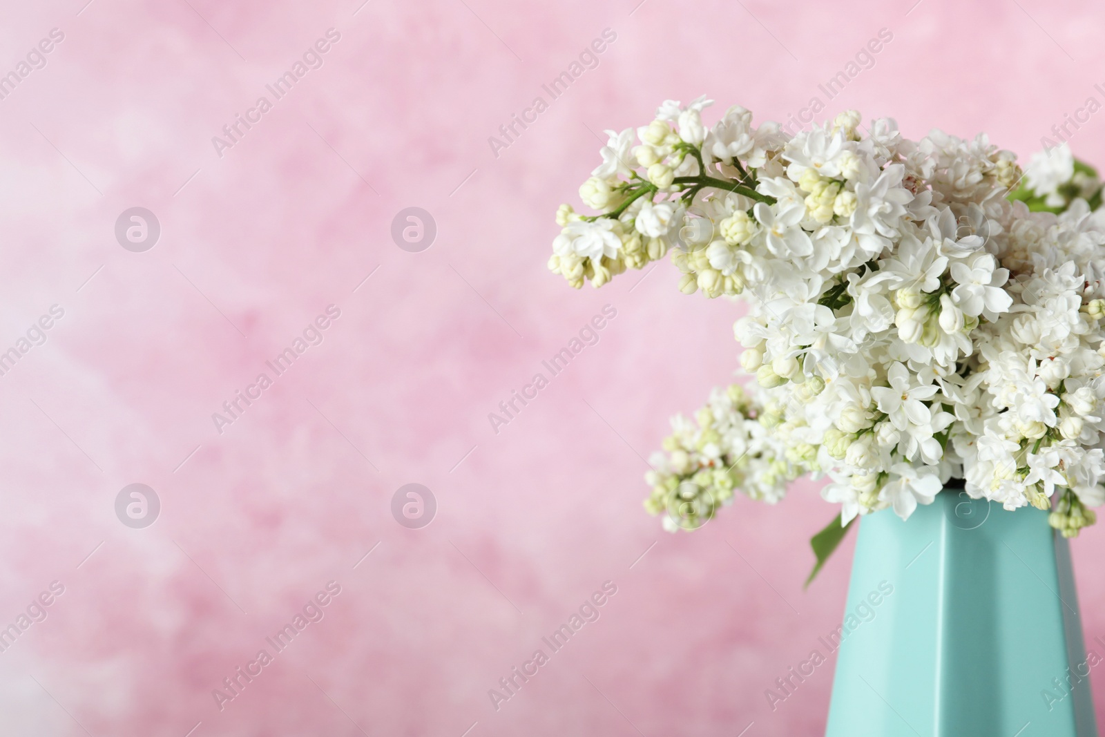 Photo of Blossoming lilac flowers in vase against color background. Space for text