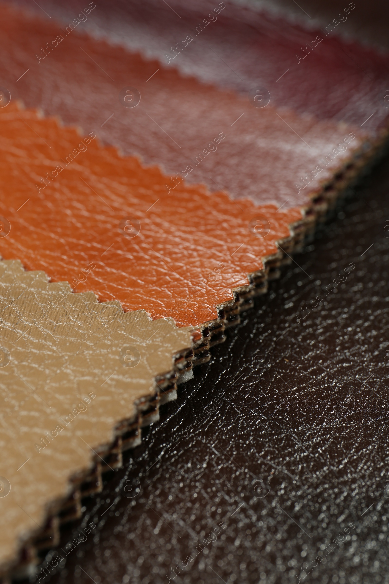 Photo of Texture of different leather as background, closeup