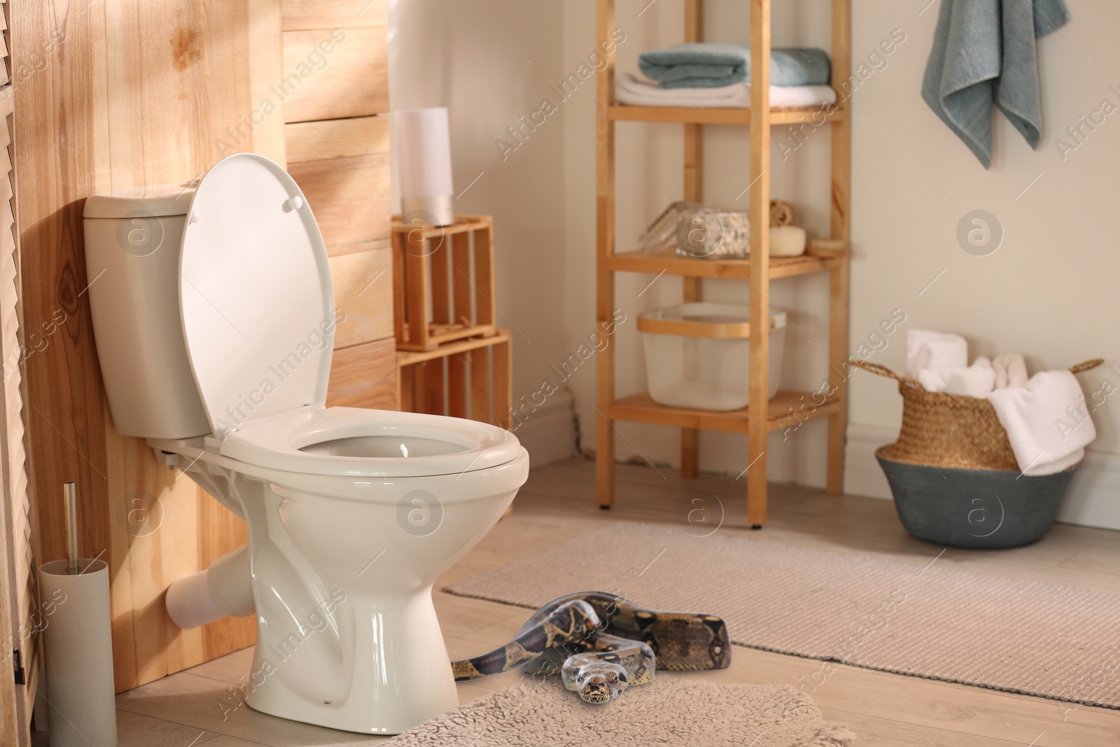 Image of Brown boa constrictor near toilet bowl in bathroom