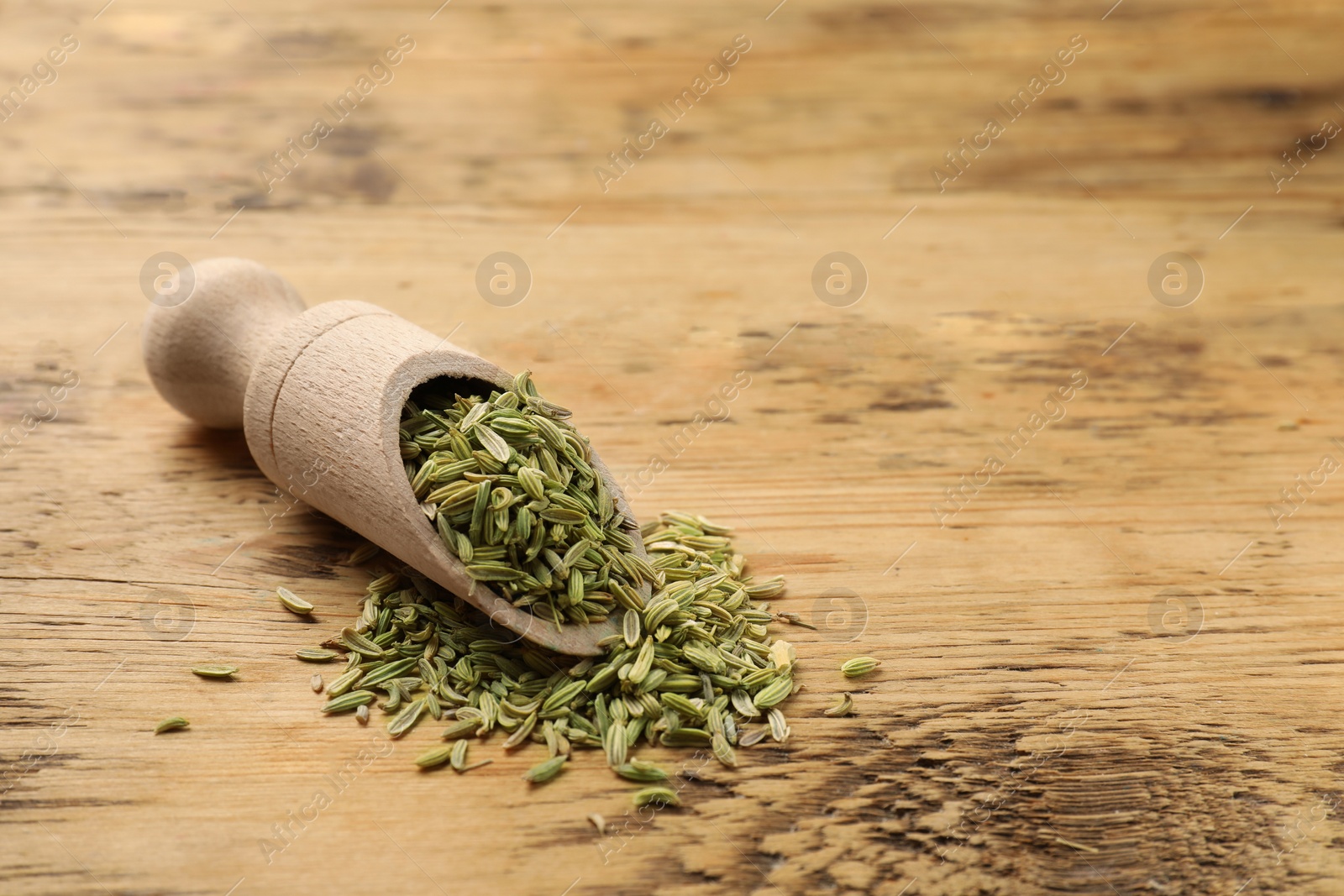 Photo of Scoop with fennel seeds on wooden table, space for text