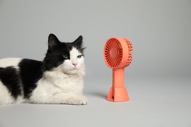 Cute fluffy cat enjoying air flow from fan on grey background. Summer heat