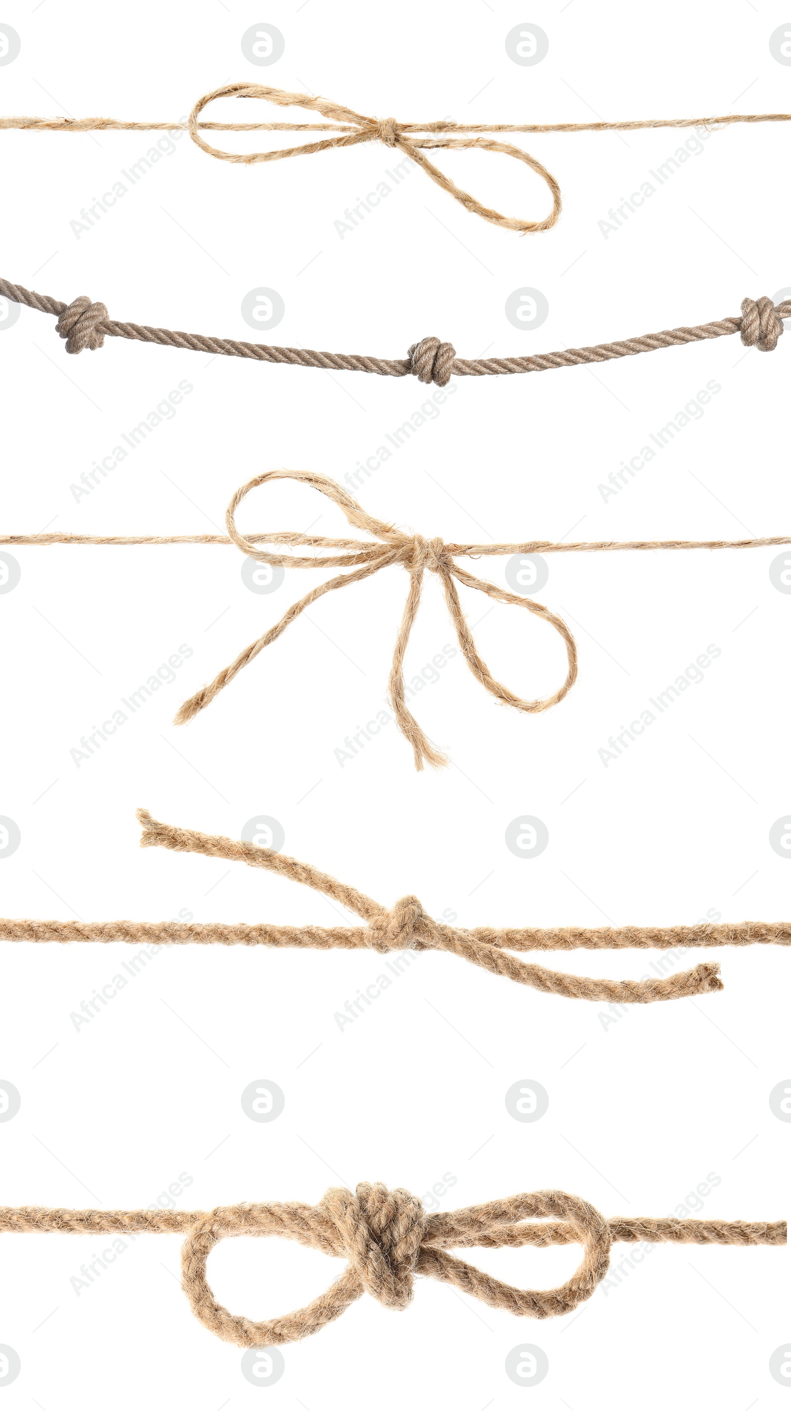 Image of Set of hemp ropes on white background