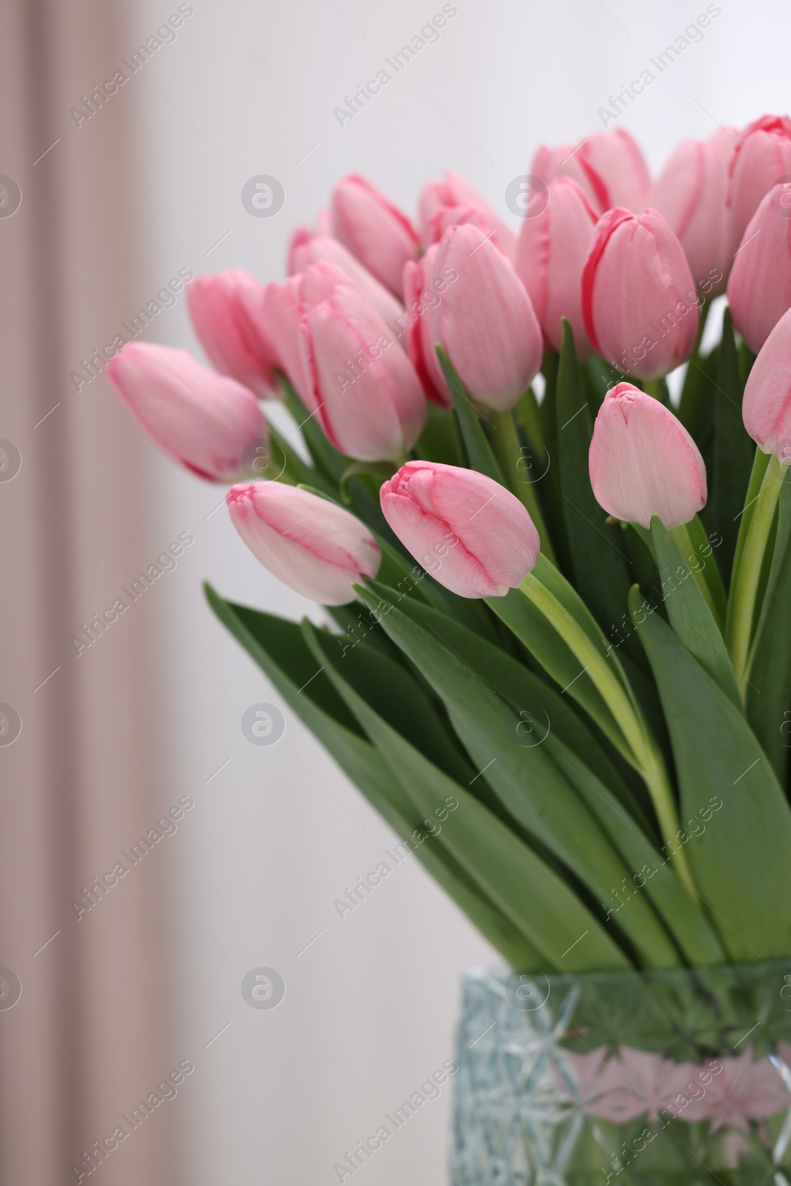 Photo of Bouquet of beautiful pink tulips on blurred background, closeup
