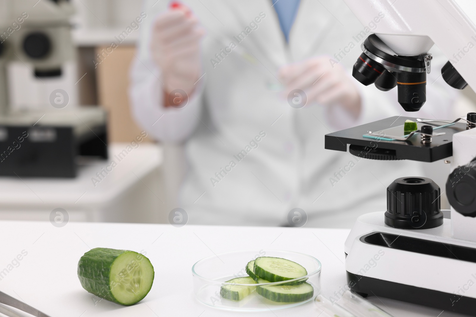 Photo of Quality control. Food inspector working in laboratory, focus on microscope and petri dish with pieces of cucumber