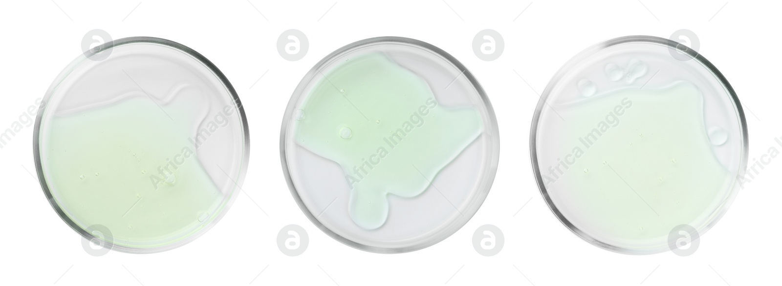 Image of Set of Petri dishes with liquid samples isolated on white, top view