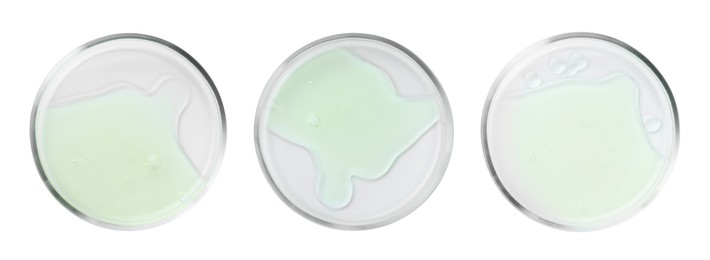 Image of Set of Petri dishes with liquid samples isolated on white, top view