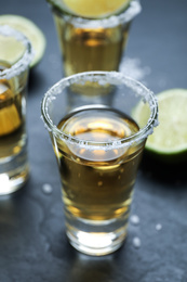 Photo of Mexican Tequila shots with salt and lime slices on grey table