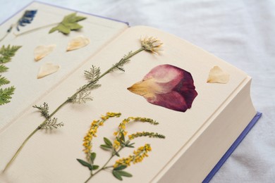 Book with dried flowers and leaves on white fabric, closeup