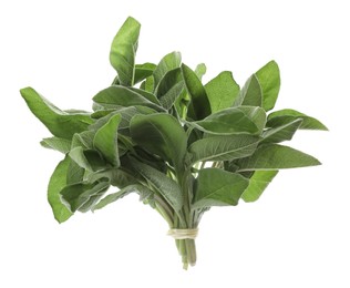 Photo of Bunch of fresh sage leaves on white background