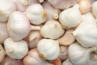 Photo of Many fresh raw garlic bulbs as background