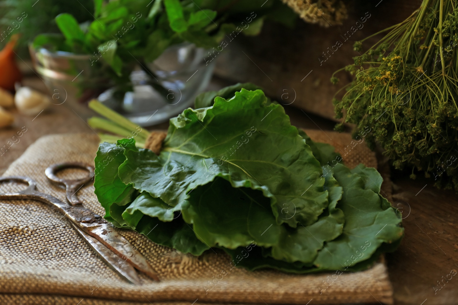 Photo of Different herbs, rusty scissors and burlap fabric on wooden table