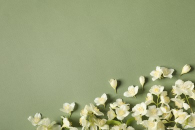 Photo of Beautiful jasmine flowers on pale green background, flat lay. Space for text