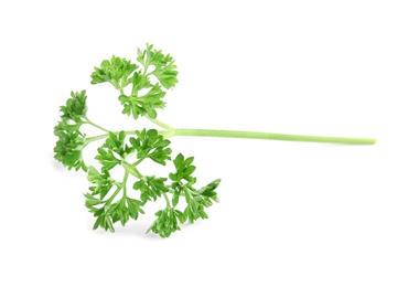 Photo of Fresh green organic parsley on white background