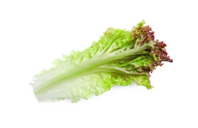 Photo of Leaf of fresh red coral lettuce isolated on white, top view