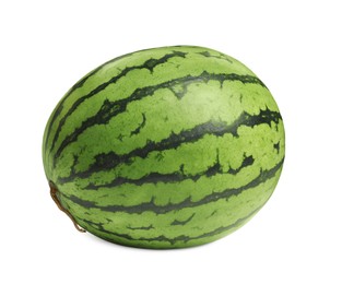 Photo of Big watermelon with green striped rind isolated on white