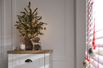 Photo of Chest of drawers with potted fir in room. Interior design