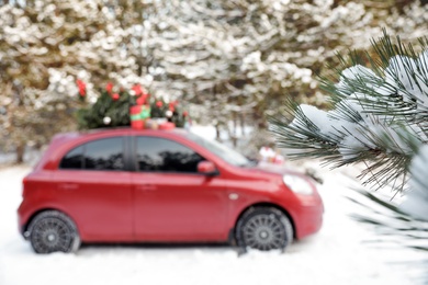 Photo of Blurred view of car with Christmas tree and gifts in snowy forest, focus on pine branch