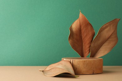 Photo of Presentation for product. Wooden podium and dry leaves on color background. Space for text