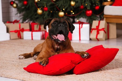 Photo of Cute dog on pillows in room decorated for Christmas