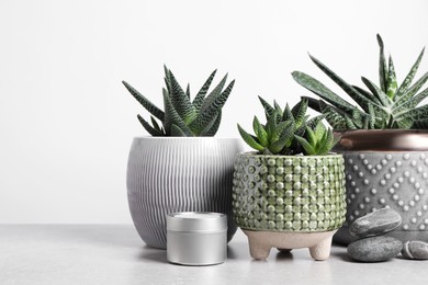 Photo of Beautiful Haworthia and Gasteria in pots with decor on grey table against white background. Different house plants