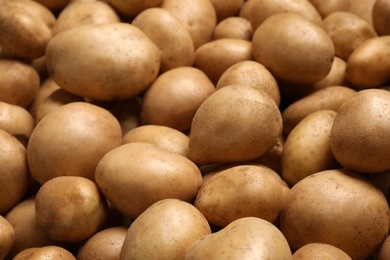 Photo of Raw fresh organic potatoes as background, closeup