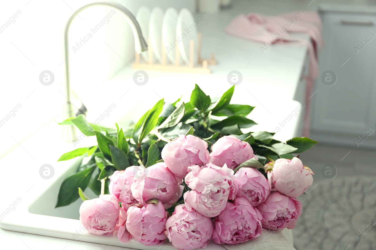 Bouquet of beautiful pink peonies in kitchen sink Photo of Bouquet of beautiful pink peonies in kitchen sink